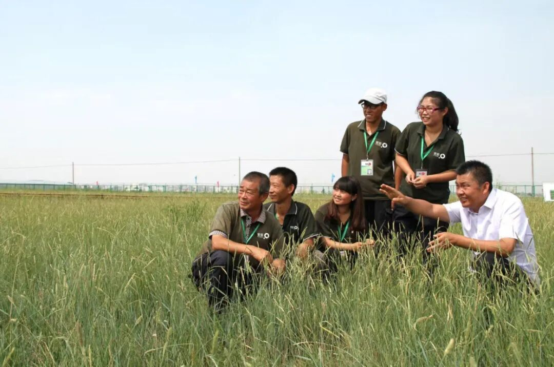 税润北疆绿意浓——三位全国人大代...