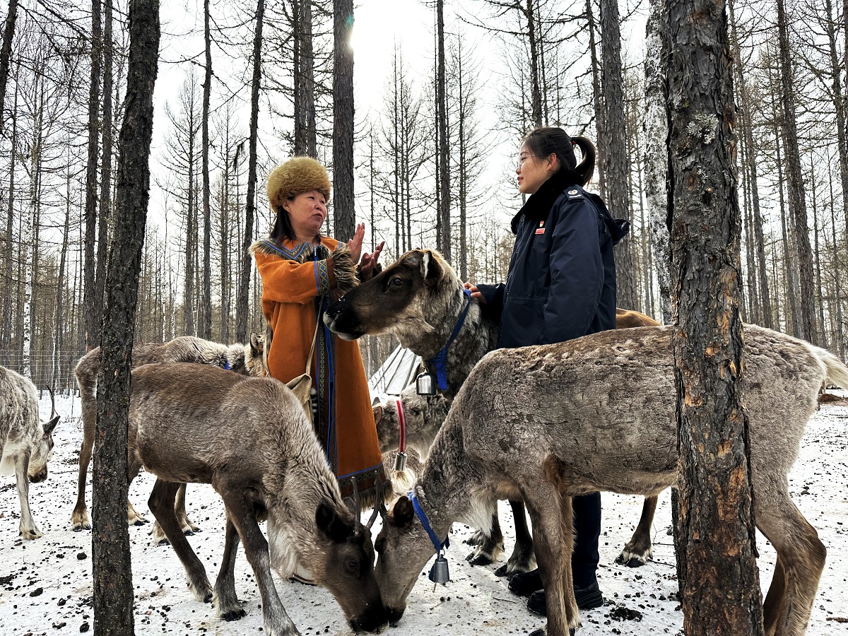 呼伦贝尔市税务局：解码-58℃冷极...
